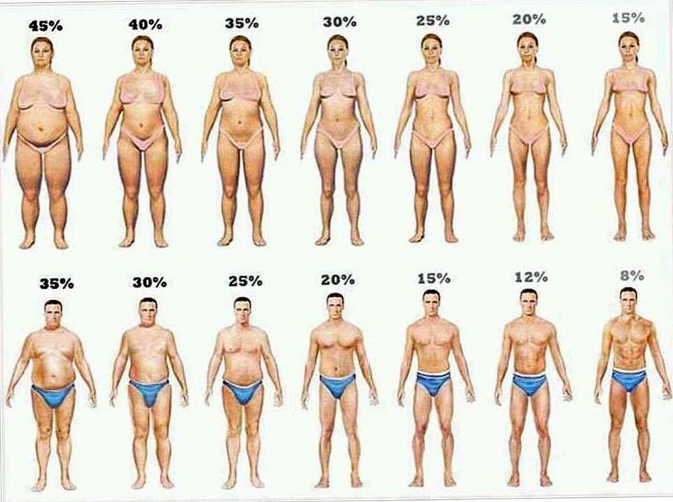процентот на телесните масти и губење на тежината на кето диета